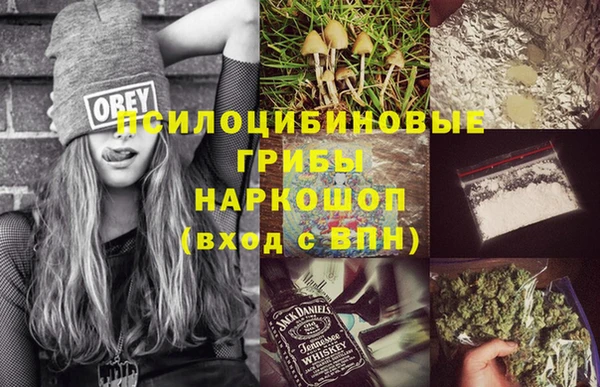 герыч Мегион