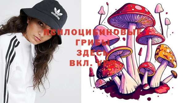 прущие крисы Бугульма