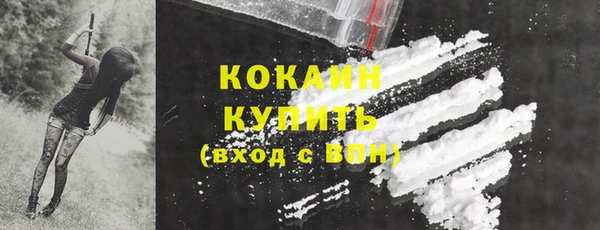 ешки Бронницы