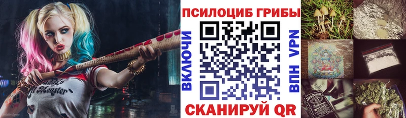 Купить где  Лукоянов  Галлюциногенные грибы Psilocybe 